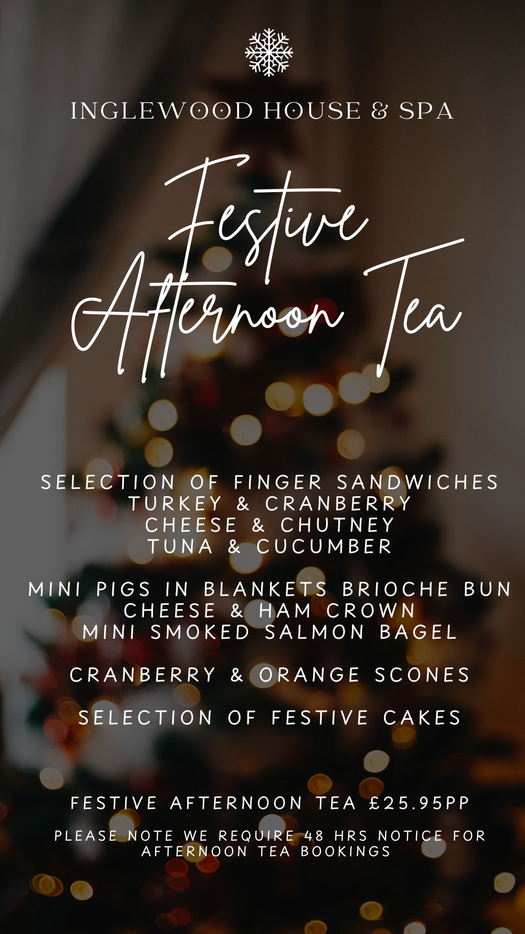 White Elegant Christmas Instagram Story (27).jpg